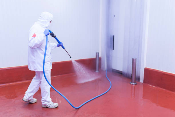 Best Solar Panel Cleaning  in Koloa, HI